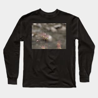 Seed pods Long Sleeve T-Shirt